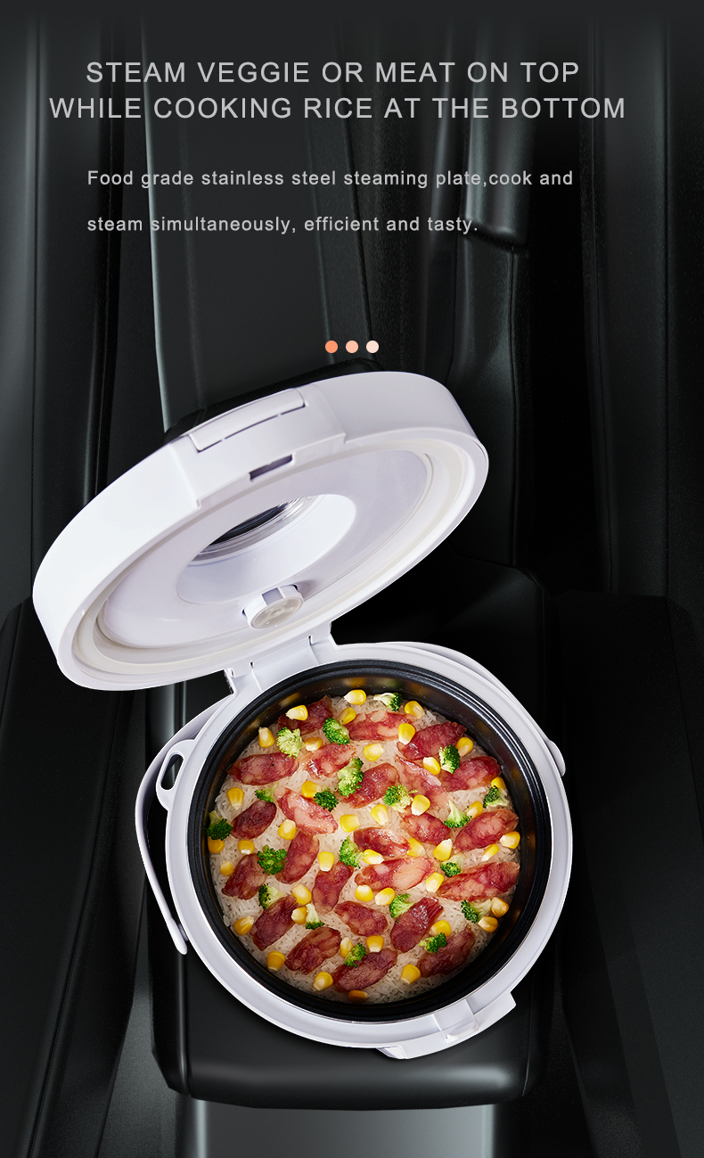 หม้อหุงข้าว 24V สำหรับรถบรรทุก - Home Cooking Heater บทวิจารณ์และราคา